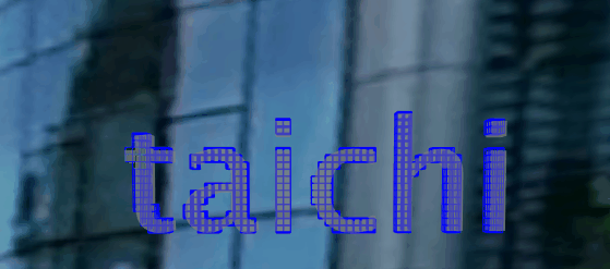 taichi-voxel